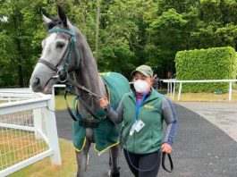 Kirby duo Mont Blanc and Fircombe Hall Newcastle debuts