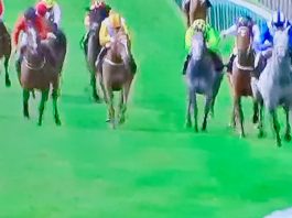 Montatham impressive under Crowley in Newmarket win Montatham (right) ridden by Jim Crowley: winning Newmarket tip.