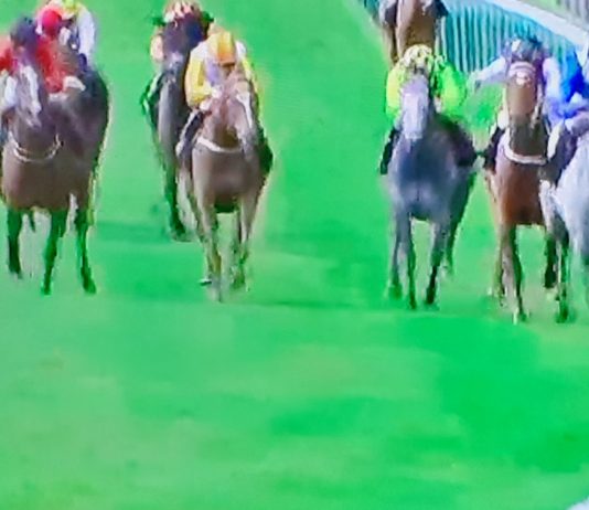 Montatham impressive under Crowley in Newmarket win Montatham (right) ridden by Jim Crowley: winning Newmarket tip.