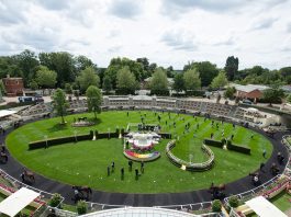 Royal Ascot £6m prizemoney back on track amid COVID-19