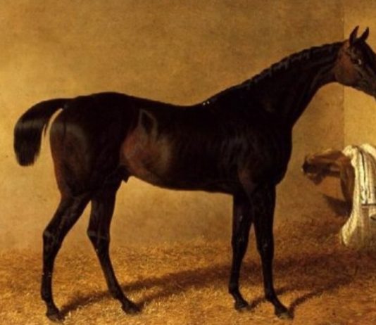 Dr Syntax began his career at Catterick Bridge