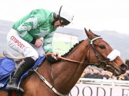 Presenting Percy moves to Gordon Elliott’s stables in County Meath Presenting Percy.