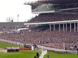 Cheltenham Festival with no regulations for the next few years - those days are gone