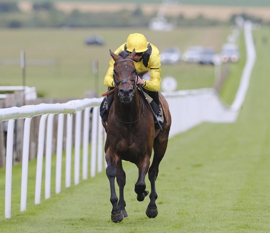 Country lands Newmarket bet365 Handicap Country under James Doyle takes the opening race of the day_Twitter