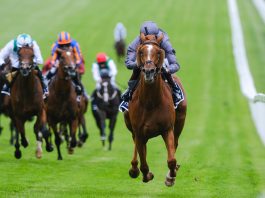 Serpentine, ridden by Emmet McNamara, gained a five and a half lengths win