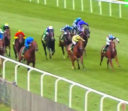 Establish in the Blue and white hat