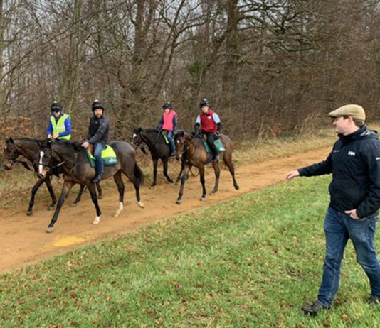 James Ferguson out on the gallops