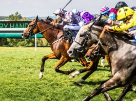 Qatar Goodwood Festival