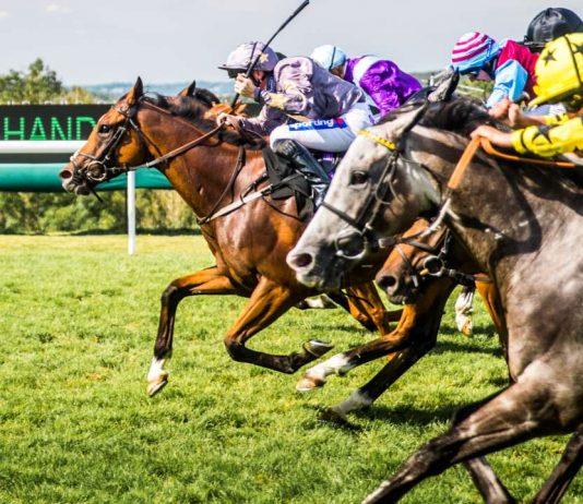 Qatar Goodwood Festival