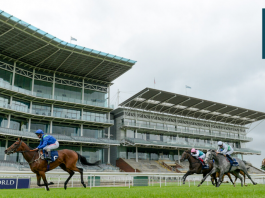 O'Brien star filly Love eyes Darley Yorkshire Oaks