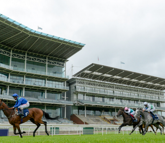 O'Brien star filly Love eyes Darley Yorkshire Oaks
