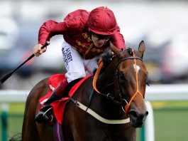 Former champion Flat jockey Jamie Spencer set to return Former champion Flat jockey Jamie Spencer set to return