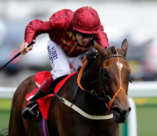 Former champion Flat jockey Jamie Spencer set to return Former champion Flat jockey Jamie Spencer set to return