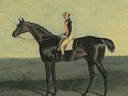 Doctor Syntax: euthanised August 1838.