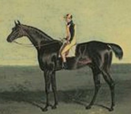 Doctor Syntax euthanised at Newmarket August 1838 Doctor Syntax: euthanised August 1838.