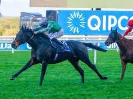 Ascot 2020 Qipco British Champions Day purse cut by £1.7 million King Of Change: Ascot Champions Day QEII or Champion Stakes entry?.