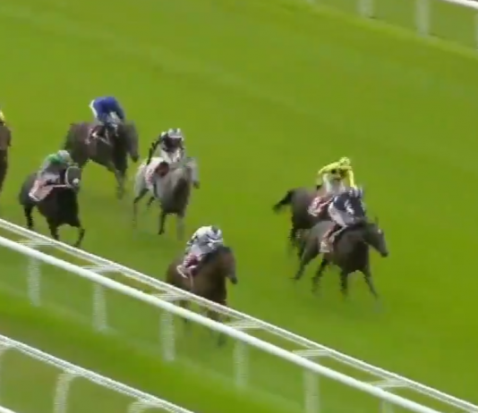 A late burst saw Certain Lad edge out Epic Hero