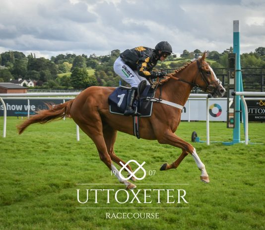 Diamond River completes fromthehorsesmouth.info 111-1 treble