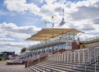 The empty stands as Goodwood races behind closed doors