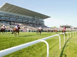Newbury - Baaeed lands Al Shaqab Lockinge Stakes