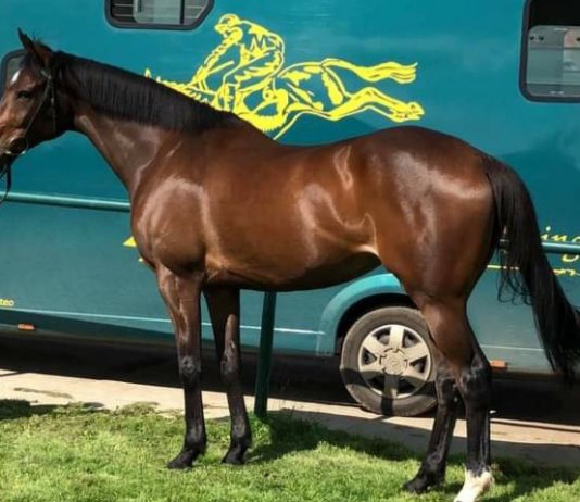 LADY BUTTONS SET TO RETIRE? Lady Buttons: set to retire?