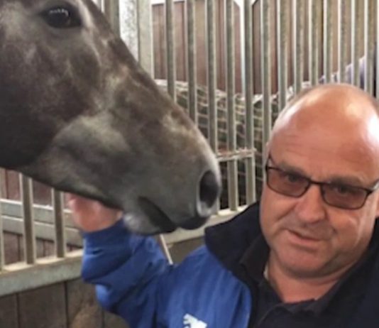 Roger Varian saddles Spanish City in QTS Ayr Gold Cup.