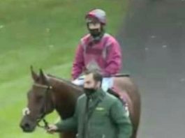 Kirby trained Stargazer 50-1 surprise at Haydock Park Kirby trained Stargazer 50-1 surprise at Haydock Park