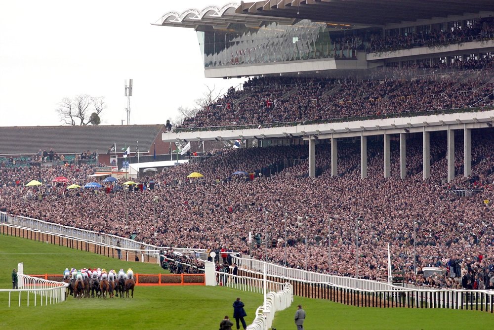 Finger pointed at Cheltenham by owners