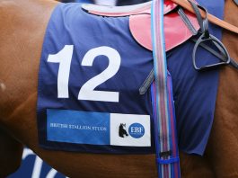 British European Breeders’ Fund (British EBF) supplementing Flat racing prizemoney by £750,000