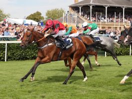 Oxted - Sprint Cup bid