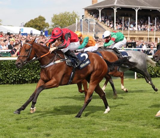 Dream Of Dreams tilt at Haydock Betfair Sprint Cup Oxted - Sprint Cup bid