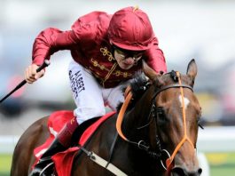 Alston books Jamie Spencer to ride Maid In India at Ascot Alston books Jamie Spencer to ride Maid In India at Ascot