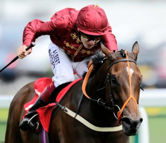 Alston books Jamie Spencer to ride Maid In India at Ascot Alston books Jamie Spencer to ride Maid In India at Ascot