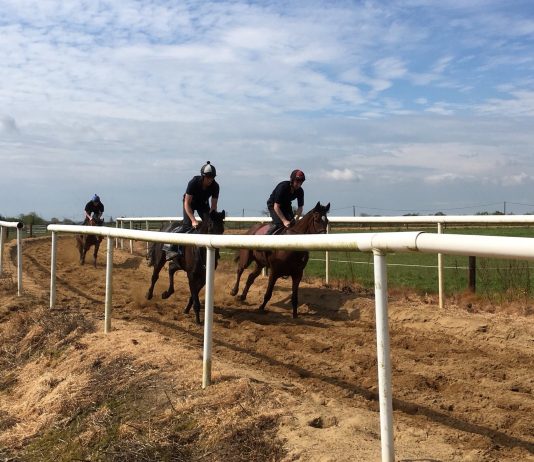 A touch of Magic from O’Brien in Ascot Qipco Champion Stakes A touch of Magic from O'Brien in Ascot Qipco Champion Stakes