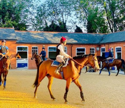Namib Dancer will be very sorely missed after Huntingdon fatality Namib Dancer will be very sorely missed after Huntingdon fatality