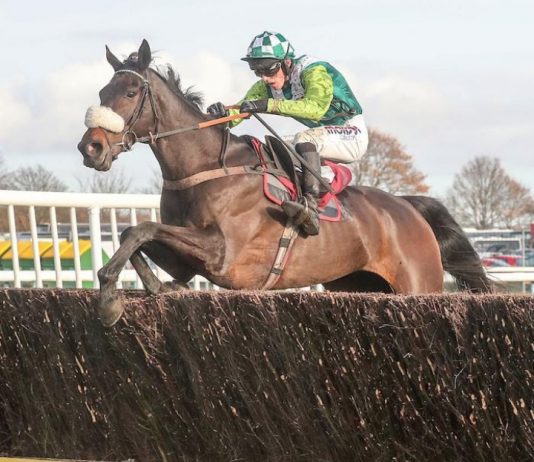 Nicholls eyes seventh Betfair Chase with Clan Des Obeaux at Haydock Clan Des Obeaux looks amazing - as good as ever - trainer Paul Nicholls.