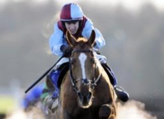 England to shoot down bookies on Gunsight Ridge at Donny