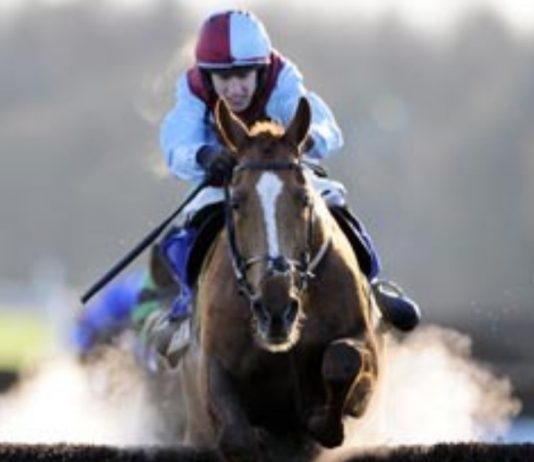 England to shoot down bookies on Gunsight Ridge at Donny England to shoot down bookies on Gunsight Ridge at Donny