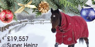 £19,557 Super Heinz Christmas cracker Magnificent 7!