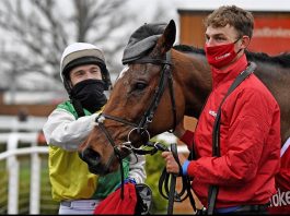 The 2020 Ladbrokes Trophy winner.... Cloth Cap- Photo: Newbury Racecourse