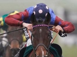 Aidan Coleman: privileged to ride Epatante in Newcastle Betfair Fighting Fifth Hurdle.