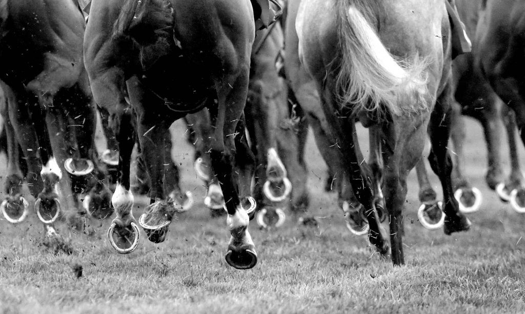 BHA announce owners new coronavirus guidelines