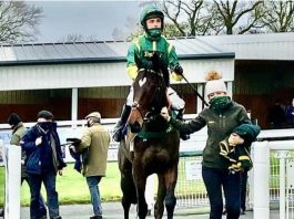 Hat-trick Bushypark enters winner's enclosure at Hexham. Photo courtesy Hexham races.