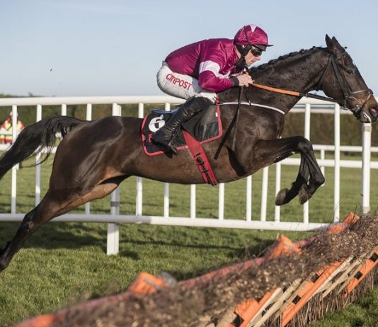 Apple's Jade: sold for €530,000 to trainer Gordon Elliott on behalf of Noel and Valerie Moran's Bective Stud. Photo: Twitter.