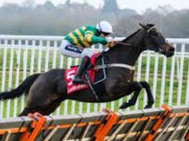 Epatante test against Goshen, Sceau Royal and Silver Streak in Ladbrokes Christmas Hurdle Epatante faces big test in Christmas Hurdle after Fighting Fifth Hurdle win.