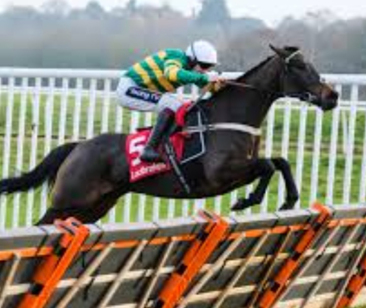 Epatante faces big test in Christmas Hurdle after Fighting Fifth Hurdle win.