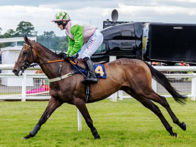 Always Tipsy: Broke shoulder at Musselburgh.