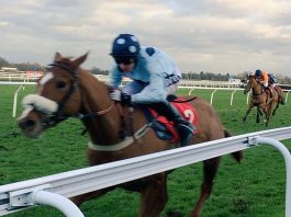 Commanche Red: fallen out of love with racing.