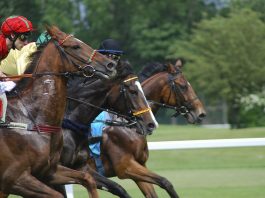 Clan Des Obeaux to KO bookies in Ladbrokes King George V1 Grade 1 Chase at Kempton