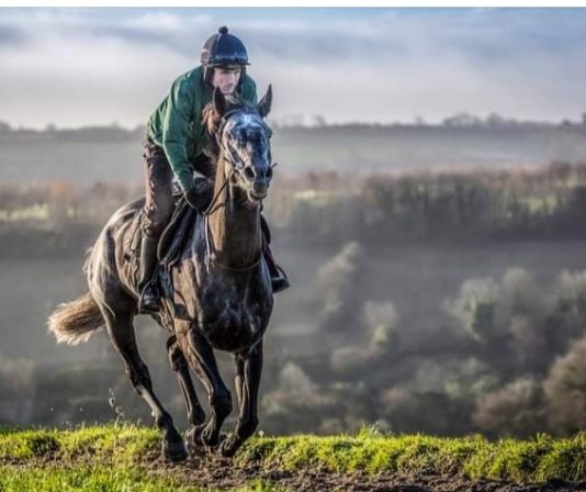 Master Tommytucker and Al Dancer Cheltenham Caspian Caviar Gold Cup Handicap Chase head-to-head Al Dancer who beat Master Tommytucker in October go head-to-head at Cheltenham.